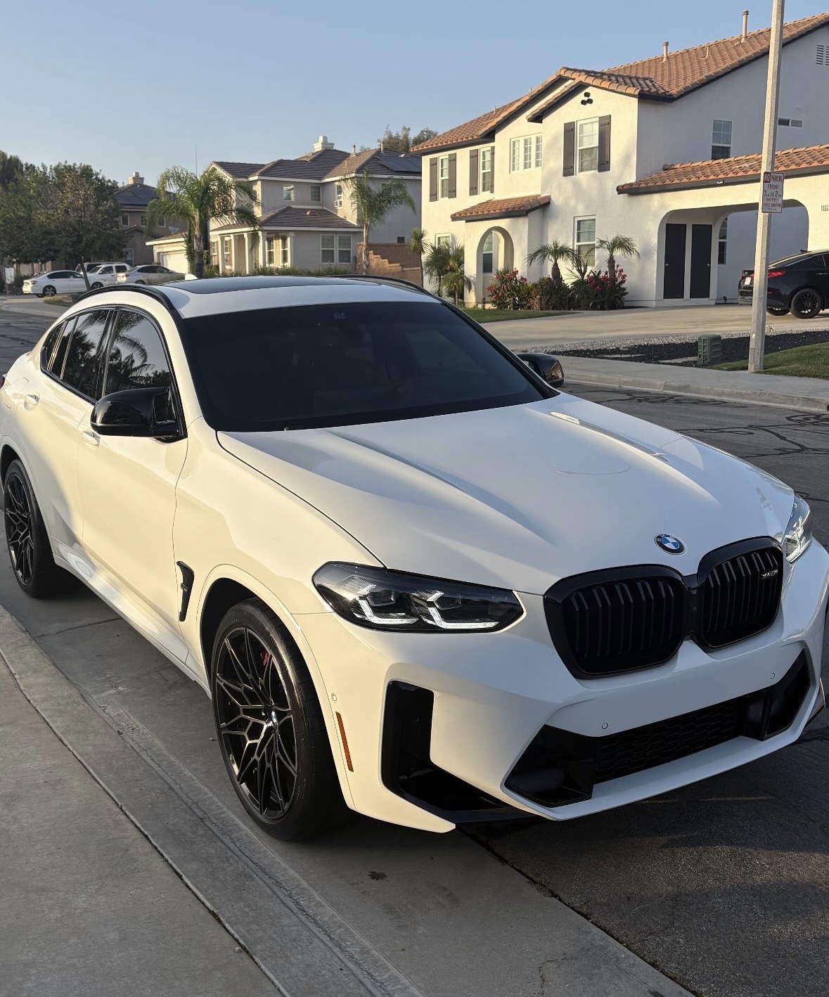 Main project showcase